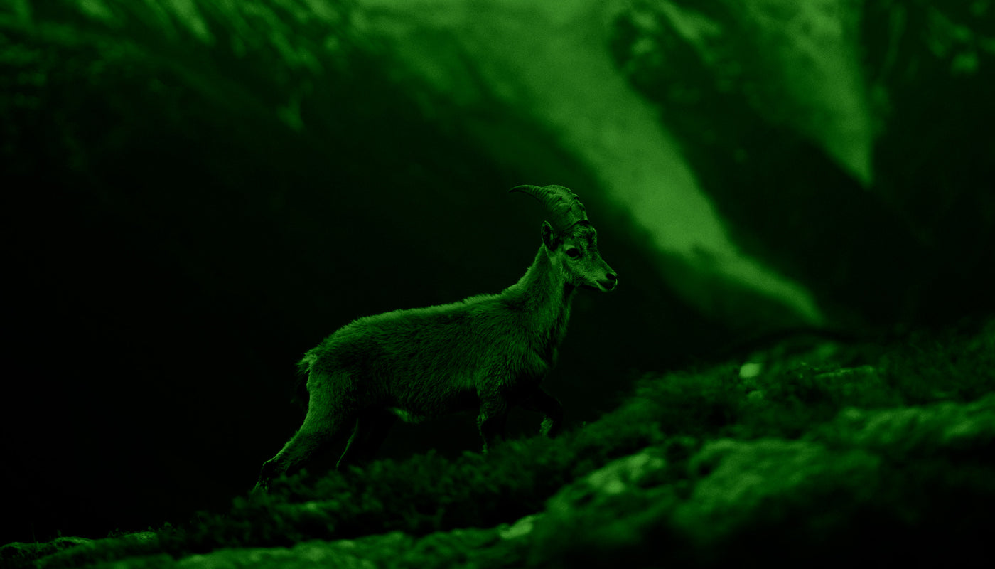 wuohi vihreä herokuva