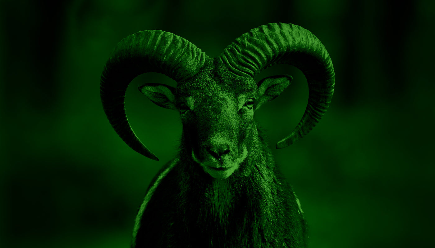 wuohi vihreä herokuva