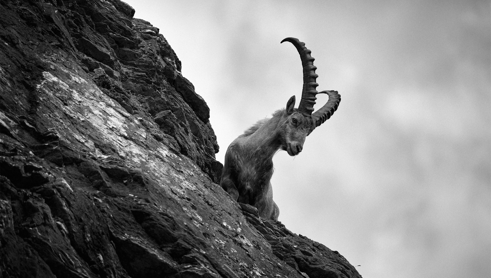 PPC-mainonta – Tehokas työkalu digitaaliseen markkinointiin