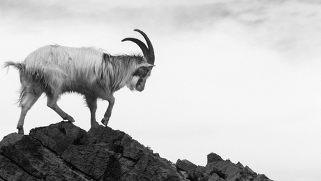 Uudelleenmarkkinointi Googlella – pidä brändi asiakkaan mielessä