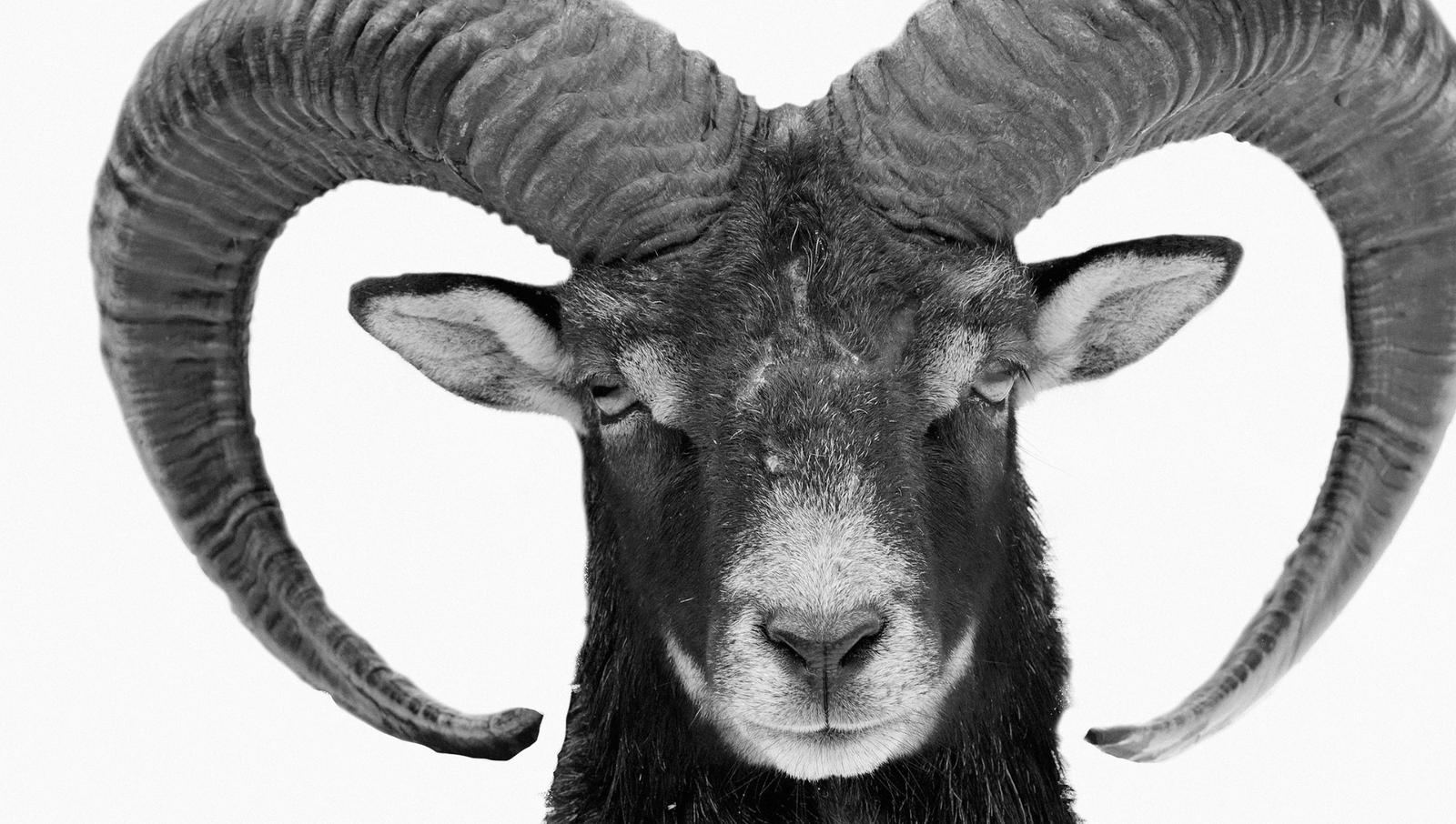 Performance Maxin raportointiin odotettuja päivityksiä