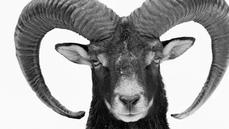 Performance Maxin raportointiin odotettuja päivityksiä