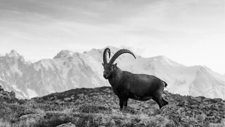 Miten parannat verkkosivuston konversioita: 6 vinkkiä vuodelle 2026