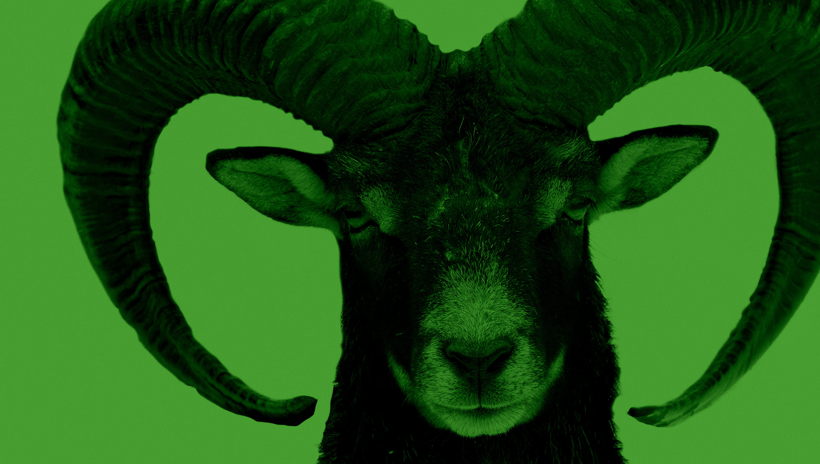 Tehokkaan Facebook-kampanjan rakentaminen – kuvat ja sisällöt jotka takuulla toimivat