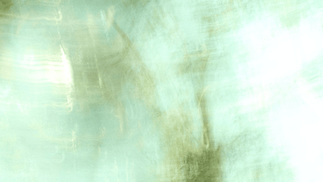 Avainsana-kannibalisaatio – näin vältät sudenkuopat