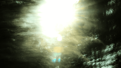 Vastuullisuus markkinoinnissa – miten vastuullisuus voi edistää brändisi kasvua?