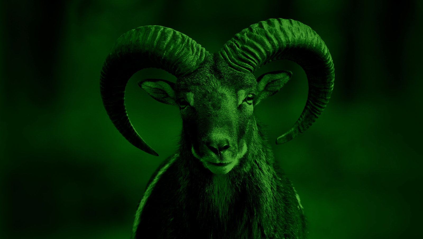 Laskeutumissivu: Näin rakennat myyvän ja hakukoneystävällisen ländärin