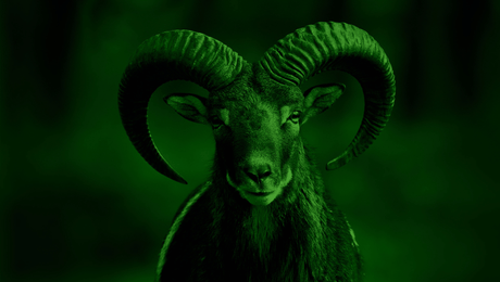 Laskeutumissivu: Näin rakennat myyvän ja hakukoneystävällisen ländärin